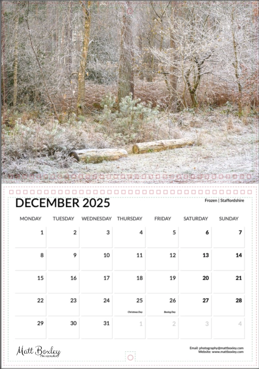 December Frozen 2025 Calendar Printable