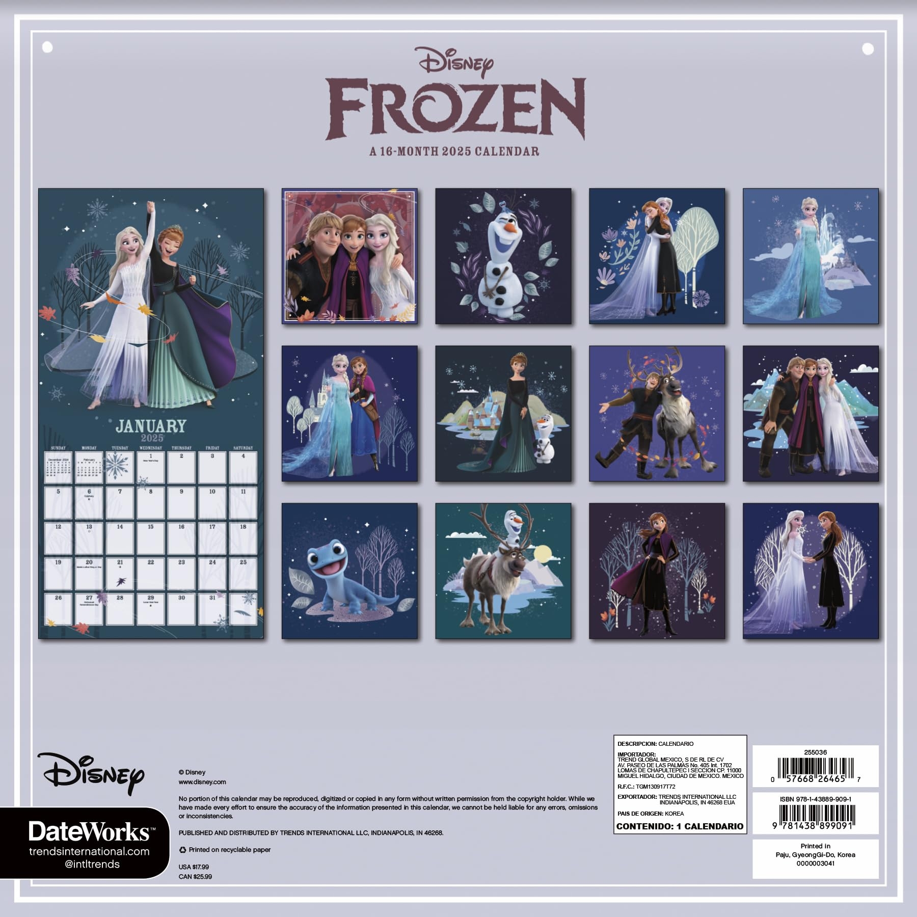 2025 Disney Frozen Wall Calendar Amazon ca Office Products