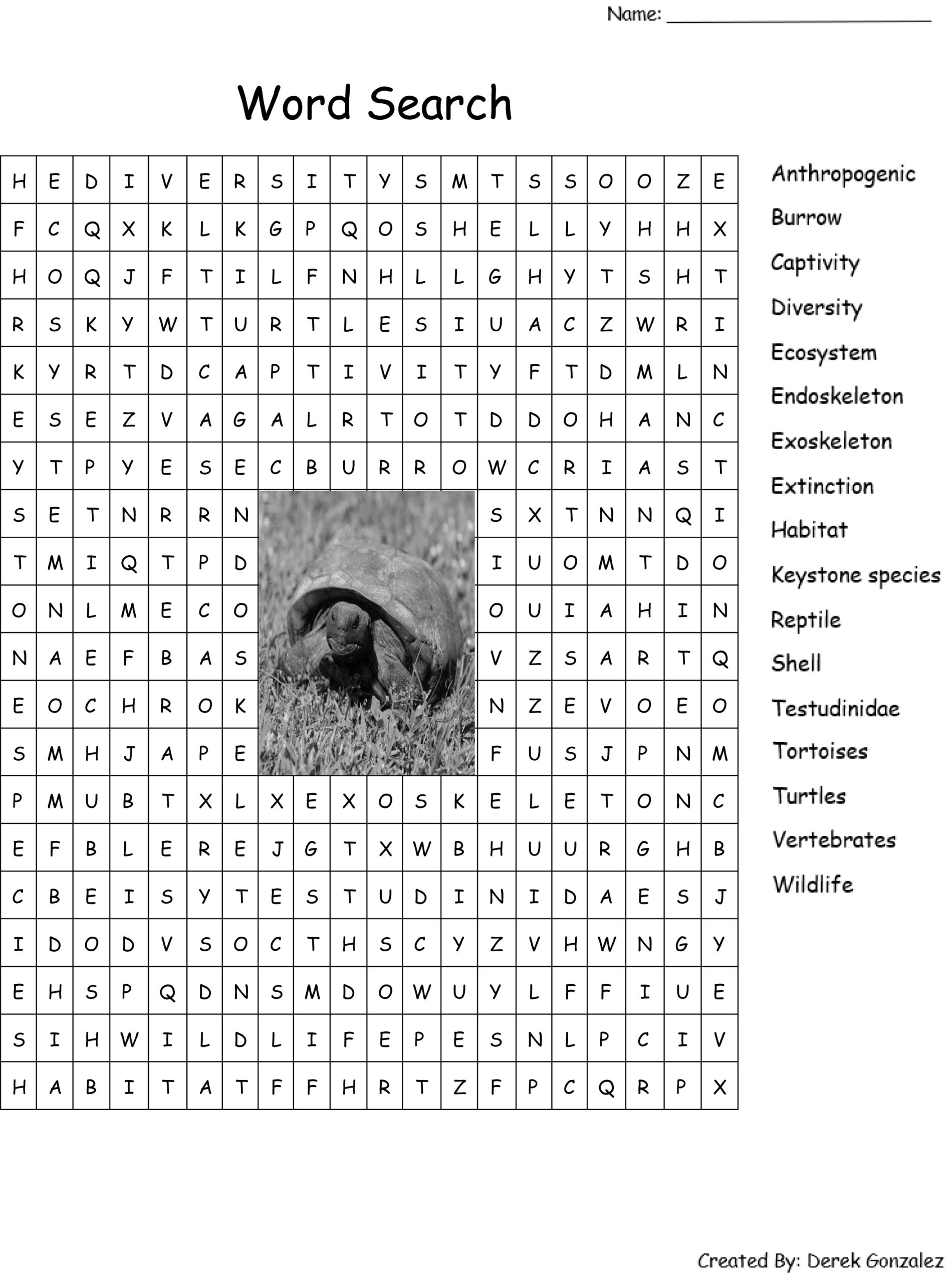 Printable Activity Sheet For Adults