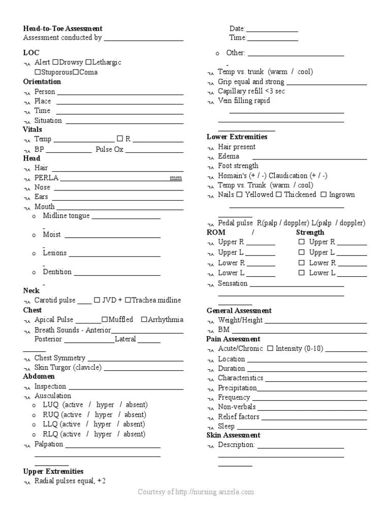 Head To Toe Assessment PDF Language Arts amp Discipline
