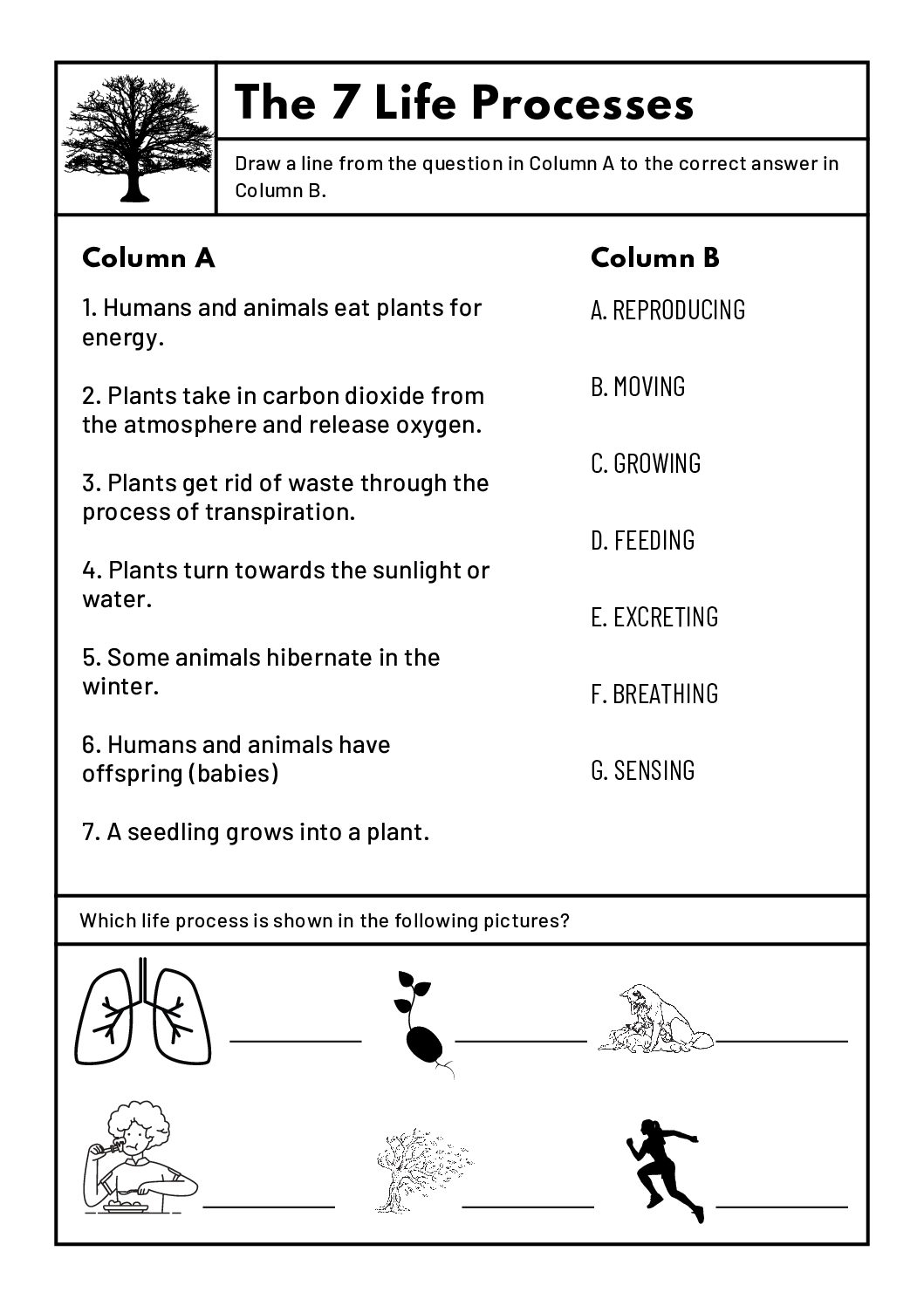 Science Printable Worksheets For Grade 4