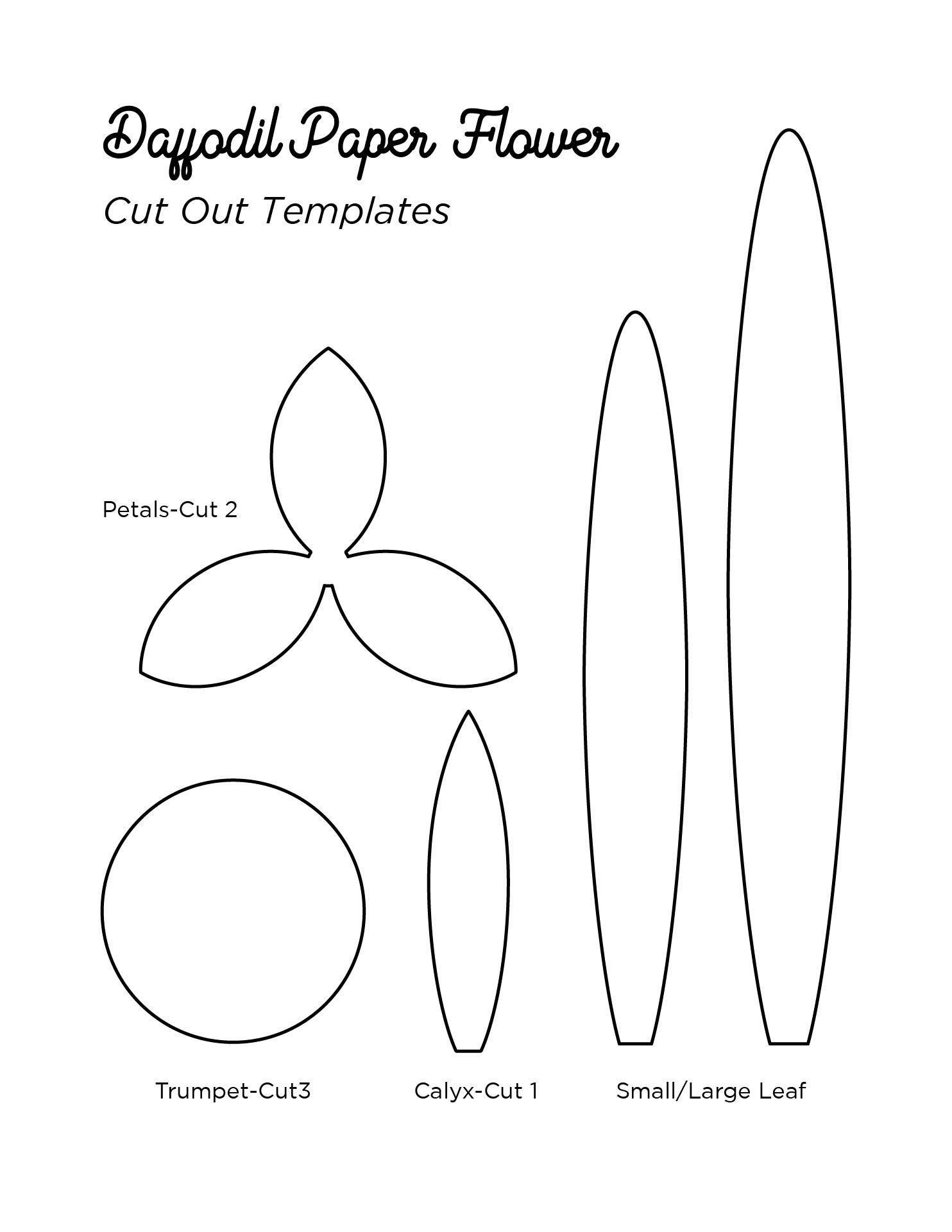 Flower Petal Template Printable