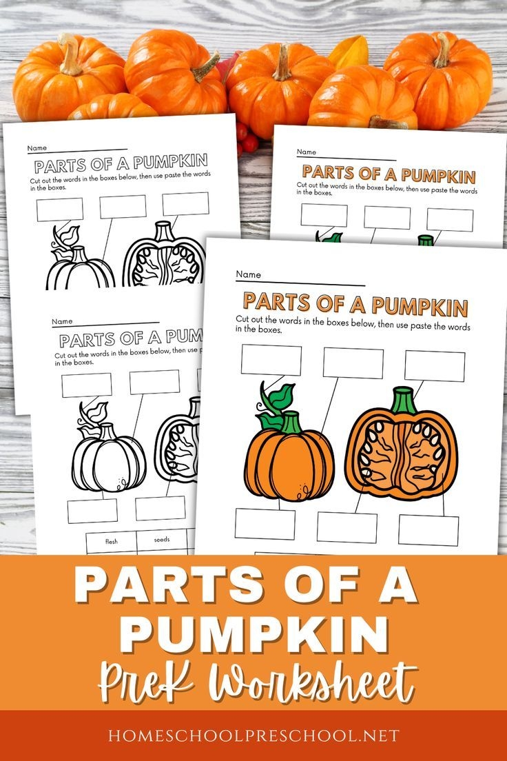 Free Printable Parts Of A Pumpkin Worksheet