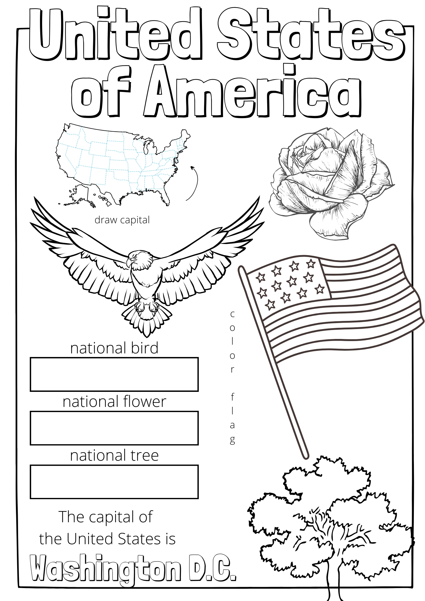 United States Worksheets Printable
