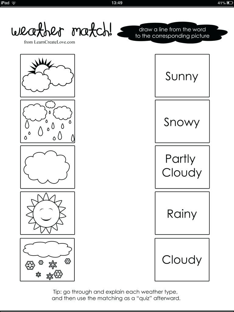 1st Grade Science Worksheets Free Printable Science PDF 