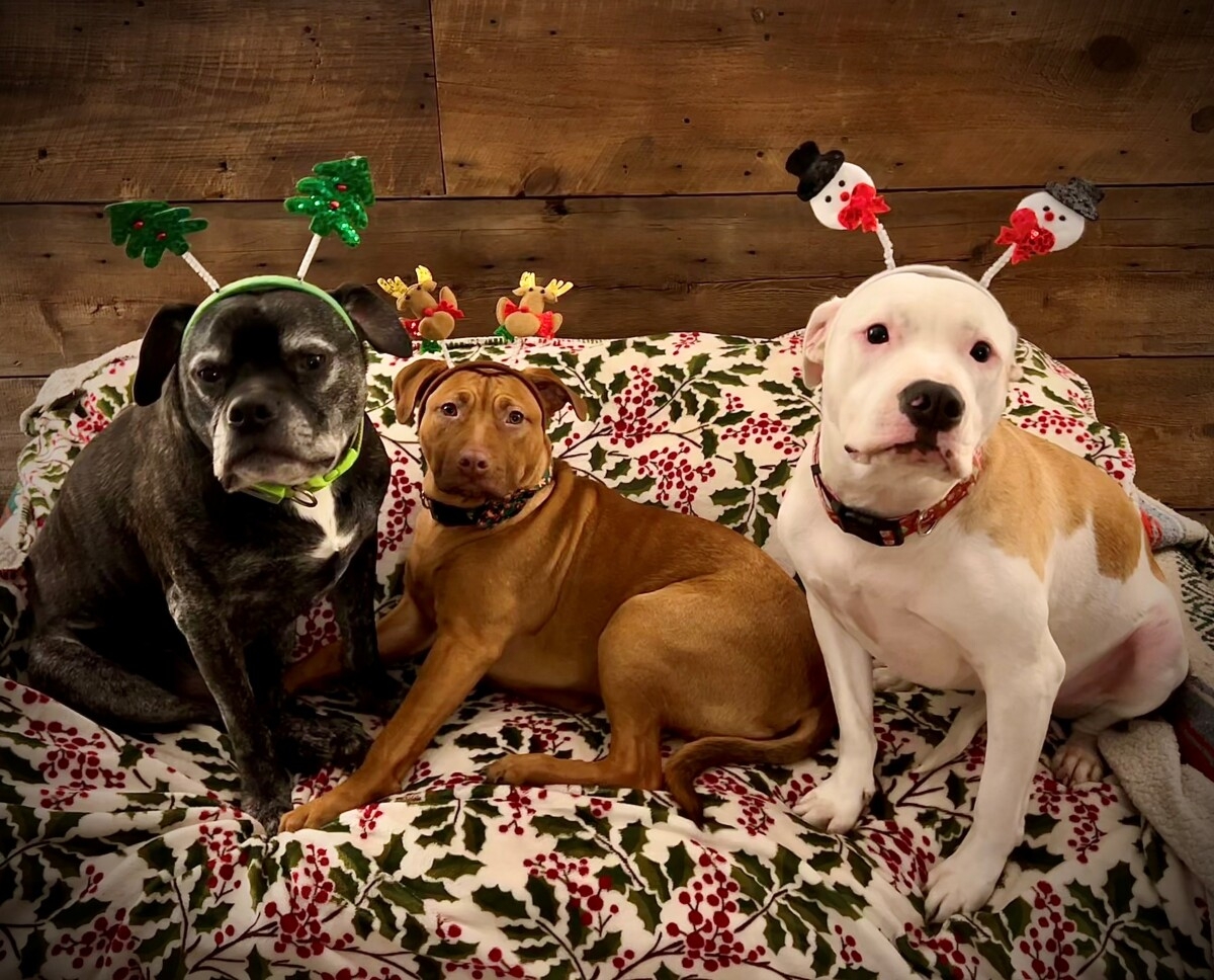 The Paw Print Calendar 2026 Winners