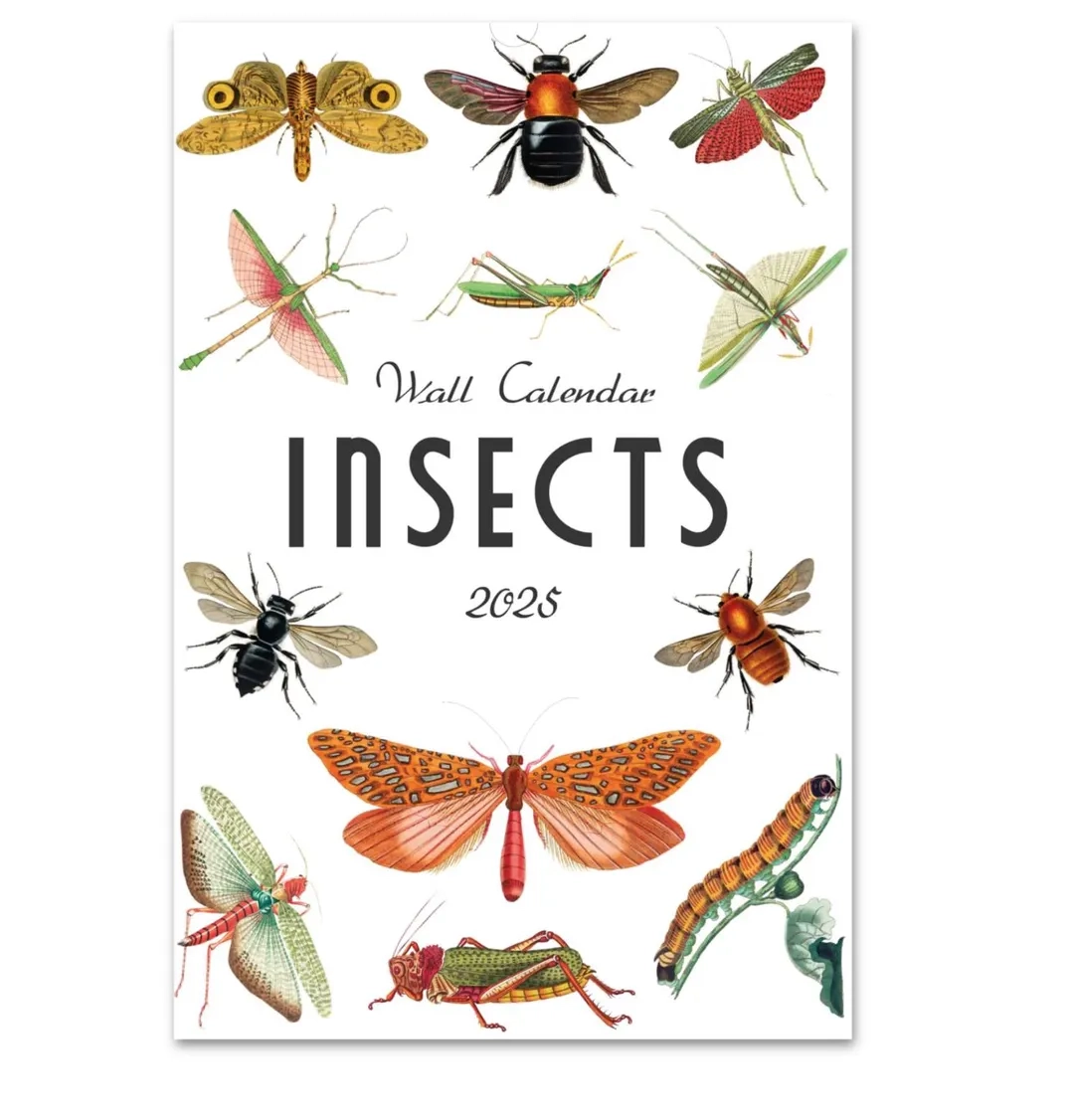 2026 Wall Calendar Insect Calendar Bugs Calendar Entomology 