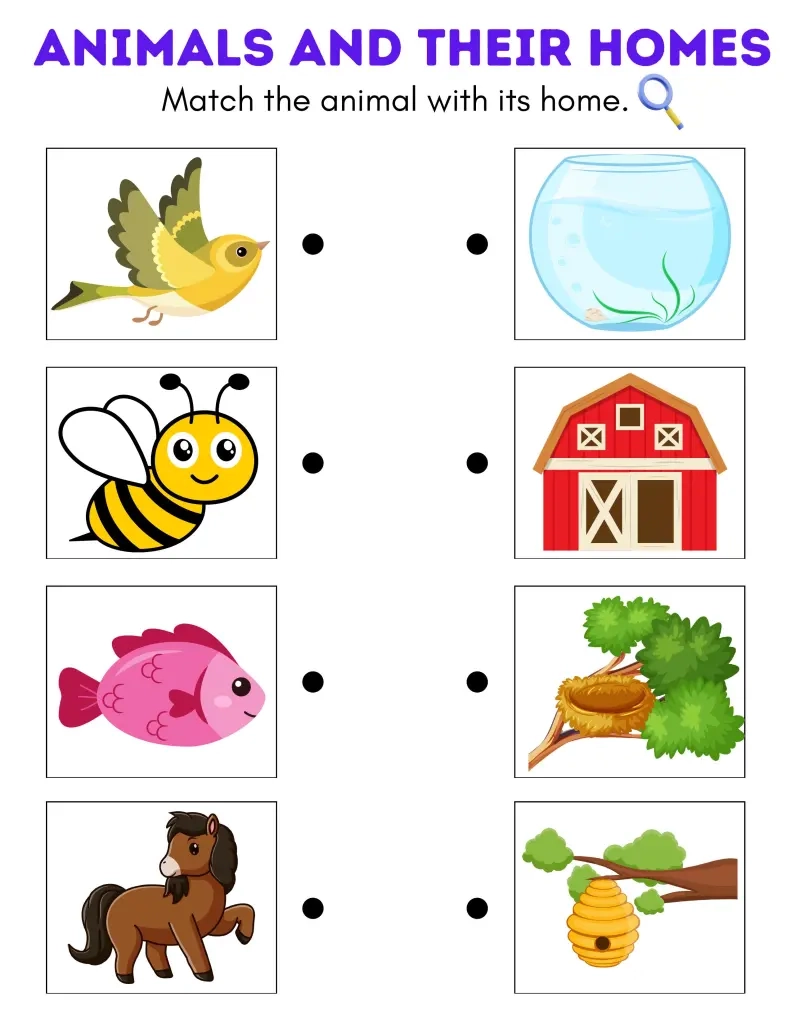 Preschool Science Worksheets Free Printables