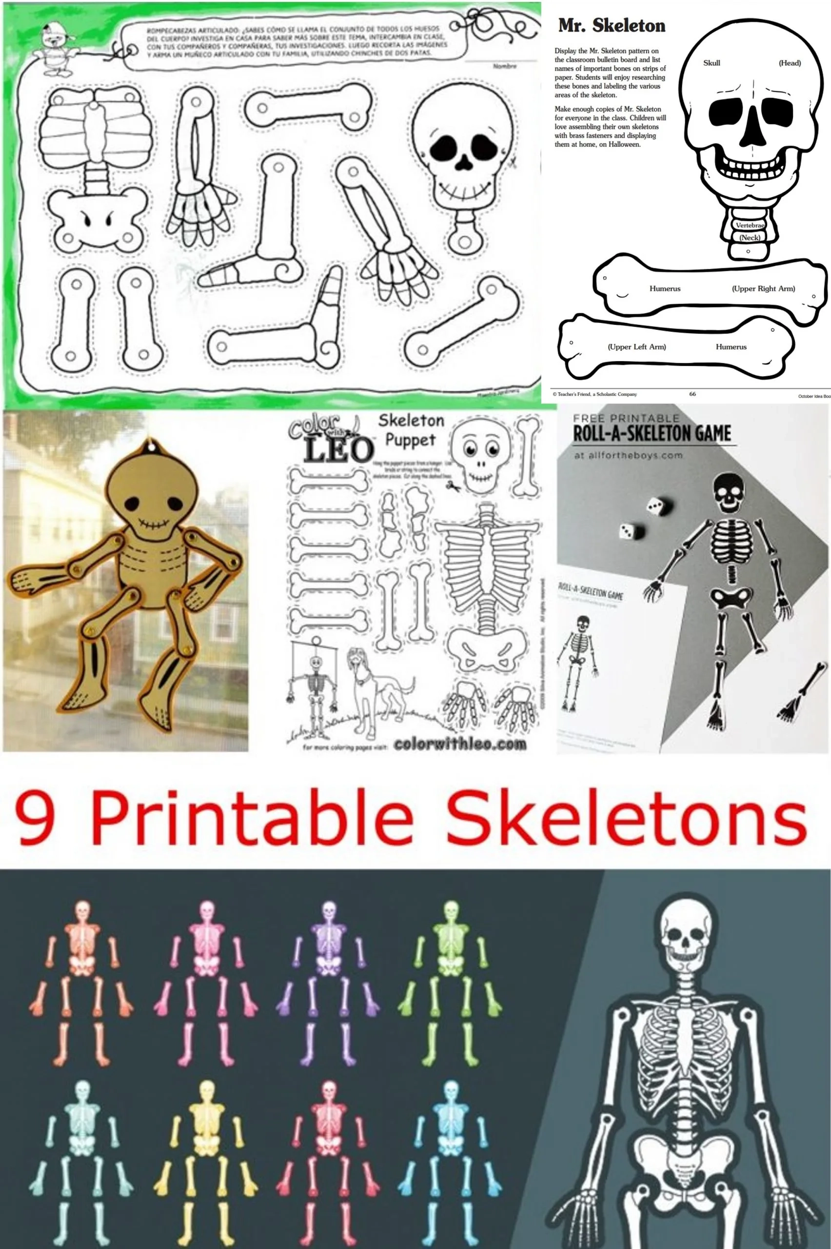 Printable Skeleton Template