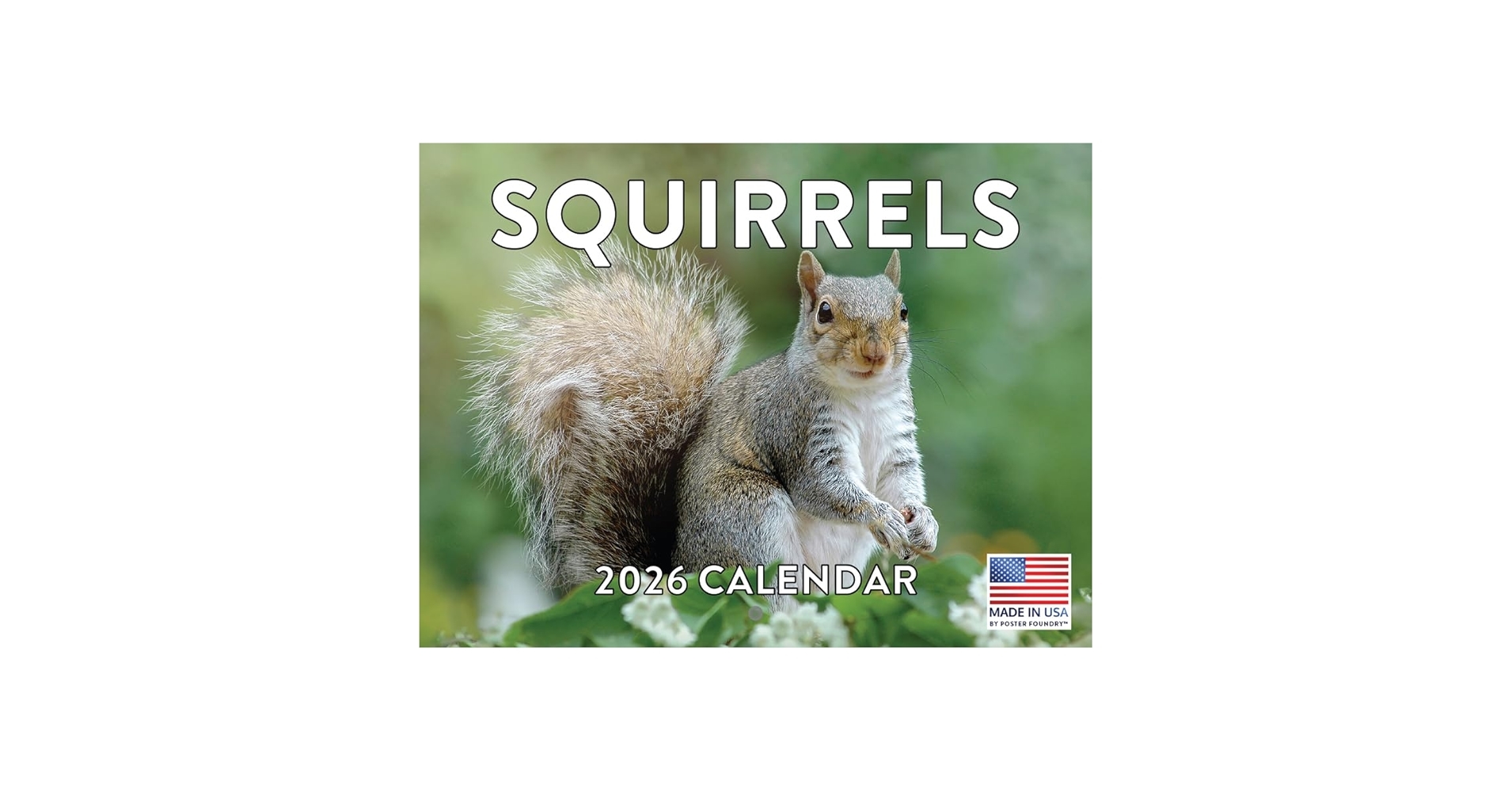 Amazon Squirrel Calendar 2026 Monthly Wall Calender 12 Month 