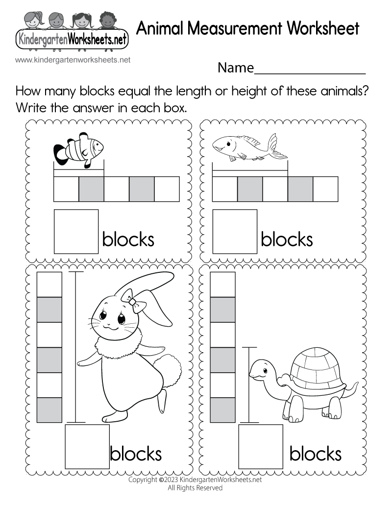 Animal Measurement Worksheet Free Printable Digital amp PDF