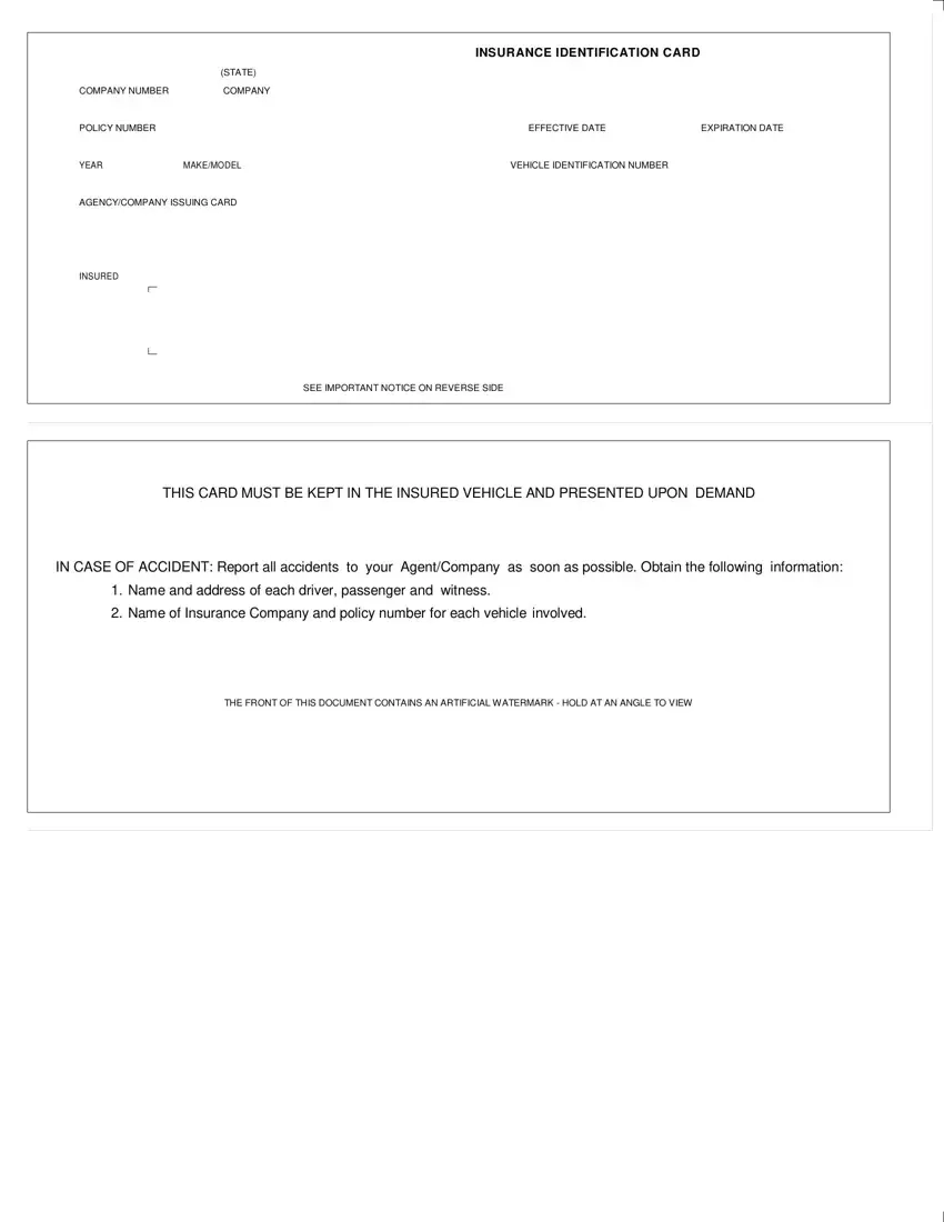 Template Printable Geico Insurance Card