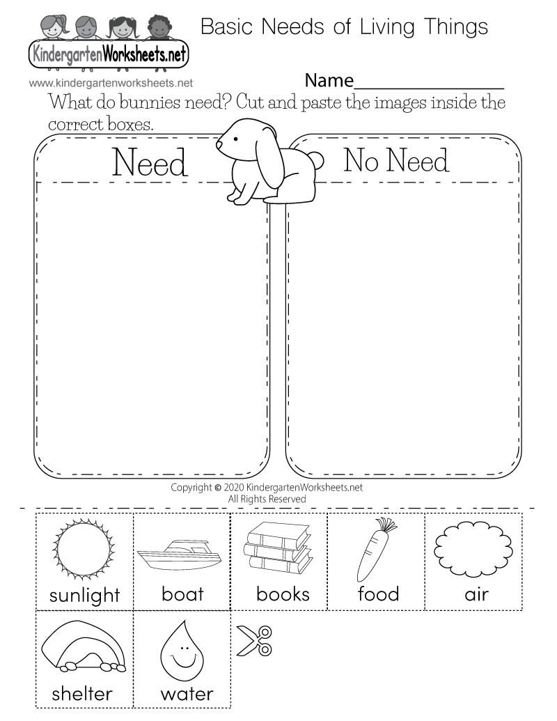 Kids Science Worksheets Printable