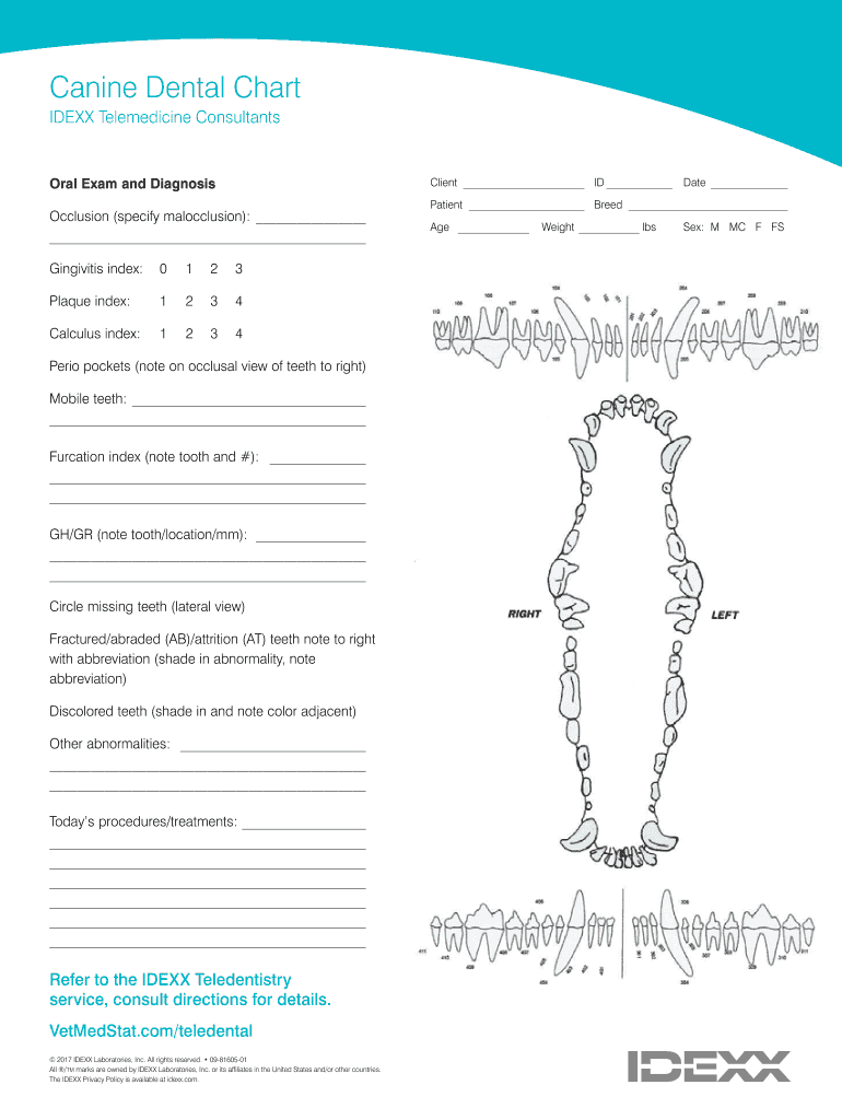 Canine Dental Chart Pdf Fill Out amp Sign Online DocHub