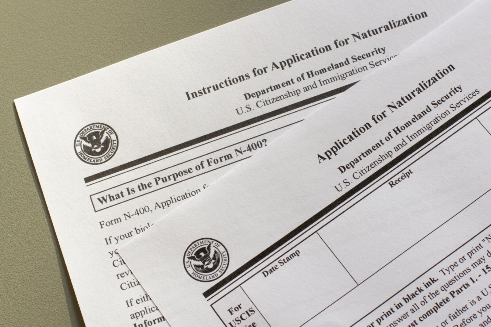 Citizenship Requirements New Americans Campaign
