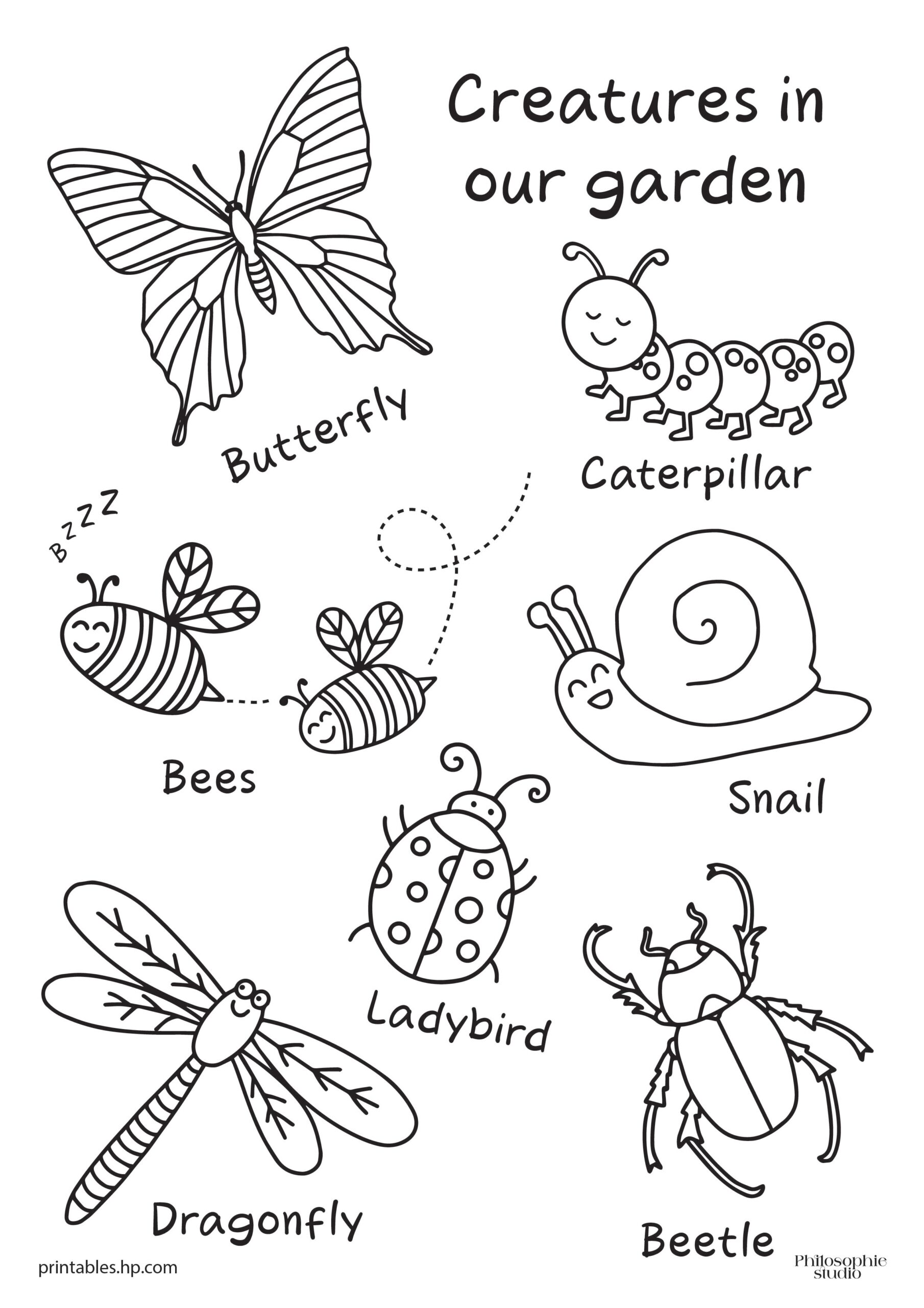 Colouring For Kids Creatures In Our Garden Printables Free 