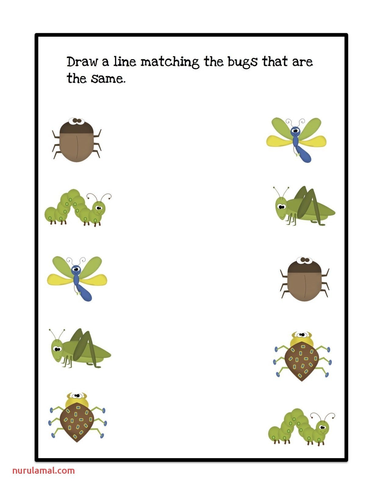 Engaging Printable Insect Worksheets For Preschool Fun Learning 