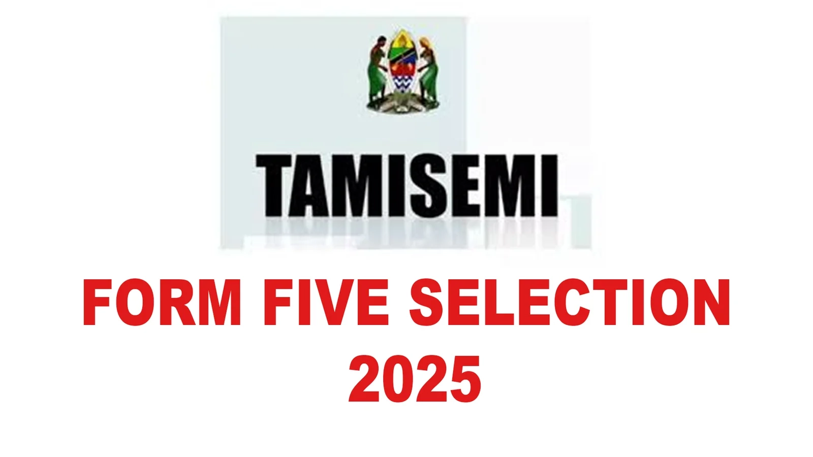 Form 5 Selection 2025 Archives Assengaonline