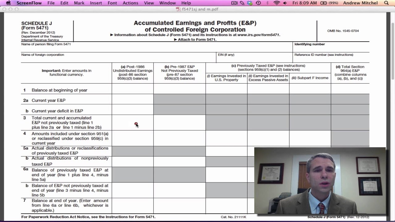 Form 5471 Schedule J