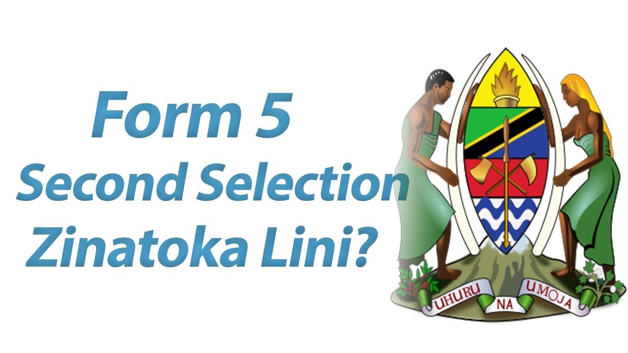 Form Five Second Selection 2025 2026 wazaelimu tamisemi