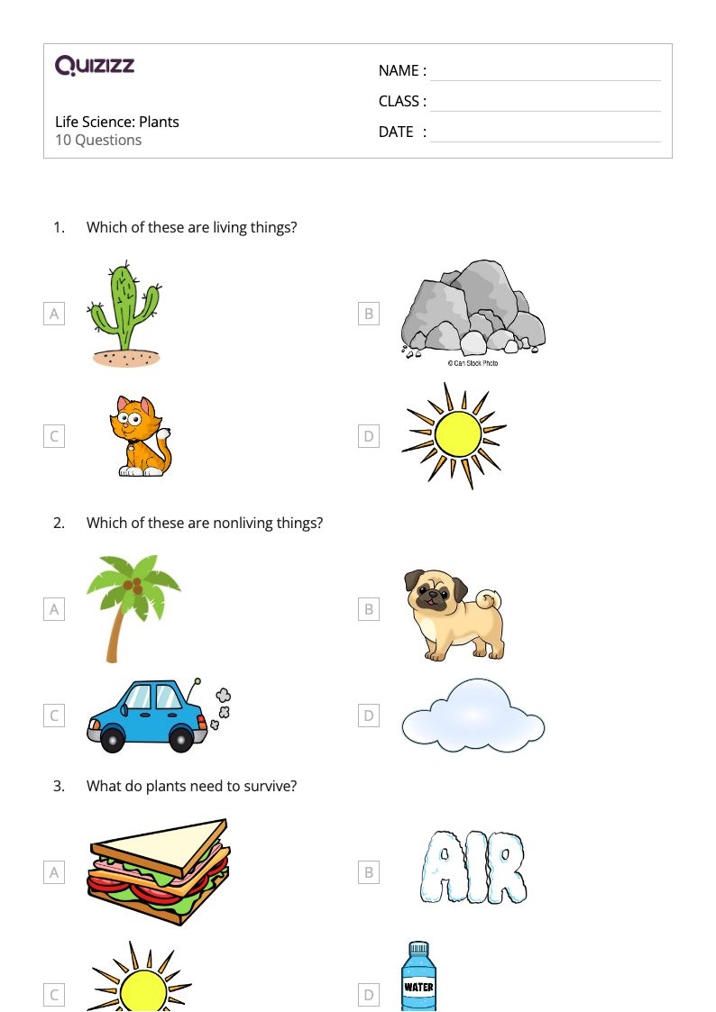 Free 1 Grade Science Worksheet Download Free 1 Grade Science 