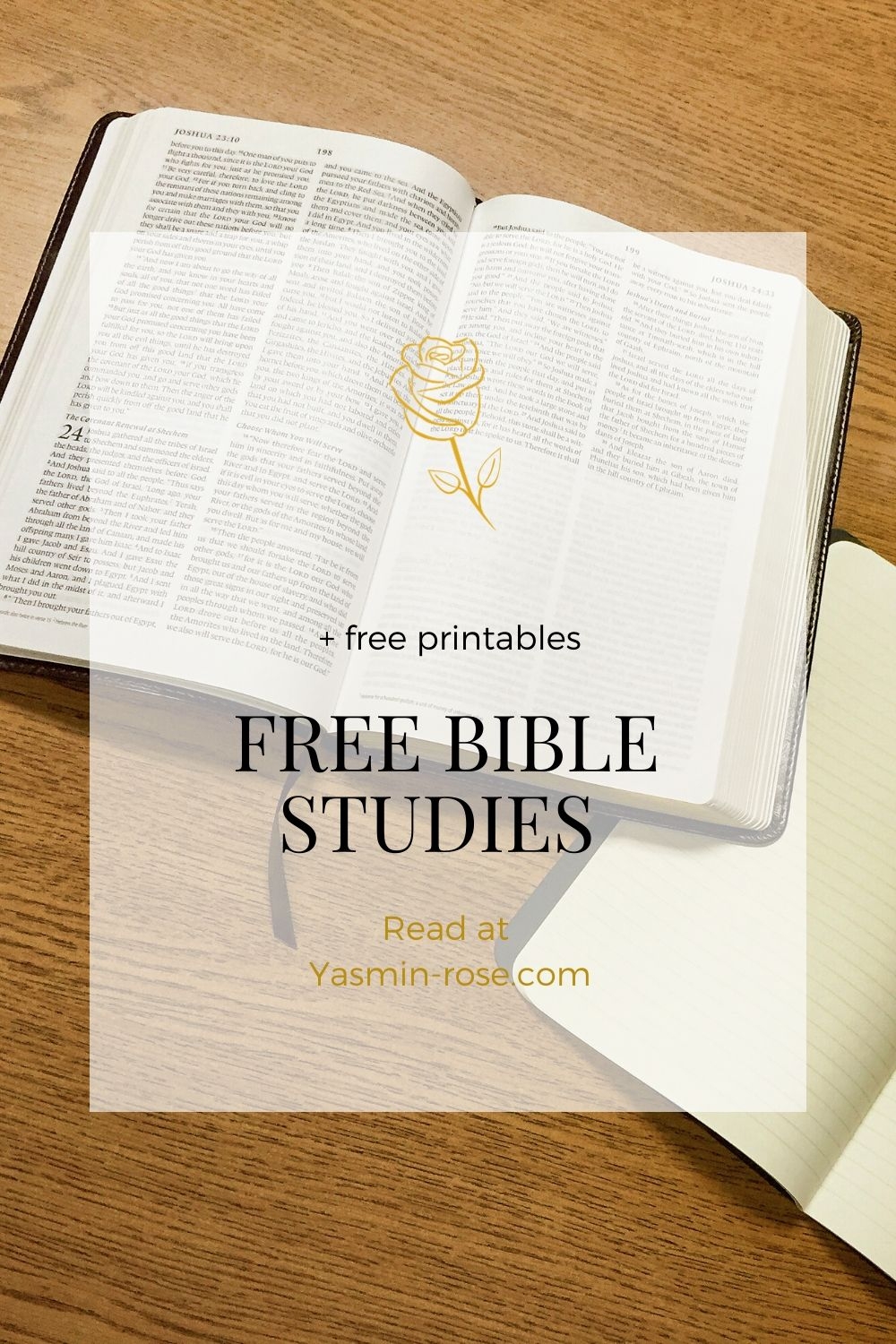 Free Printable Women's Bible Studies
