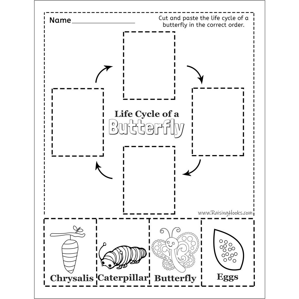 Free Butterfly Life Cycle Printables