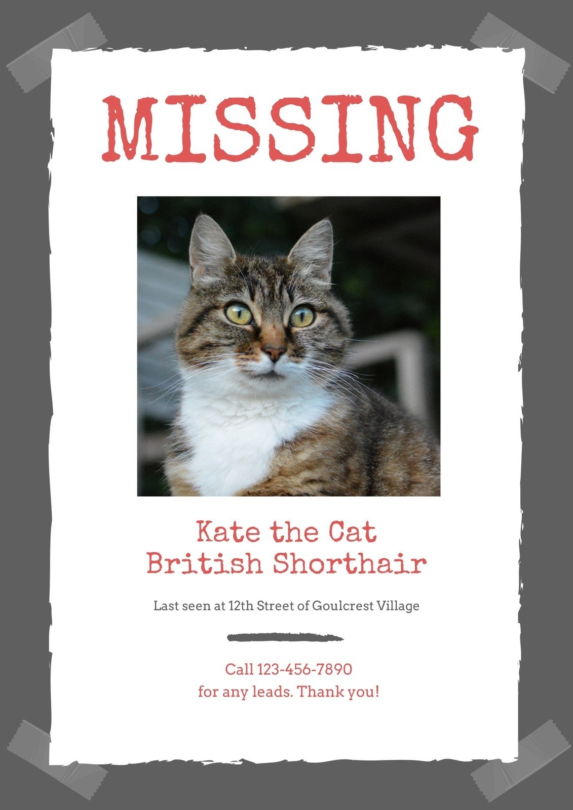 Free Editable Printable Missing Poster Templates Canva 