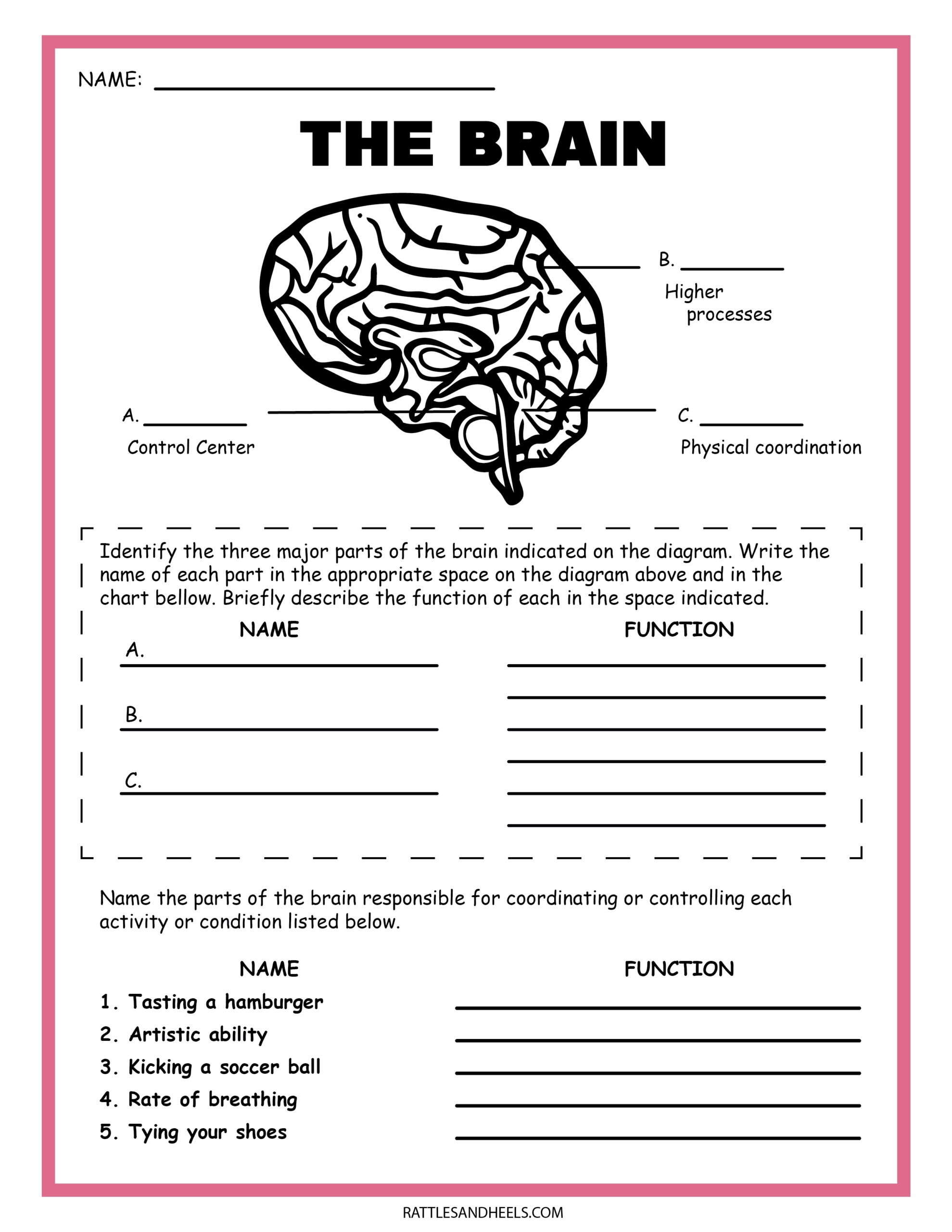 Free Free Science Worksheet For 3rd Grade Download Free Free 