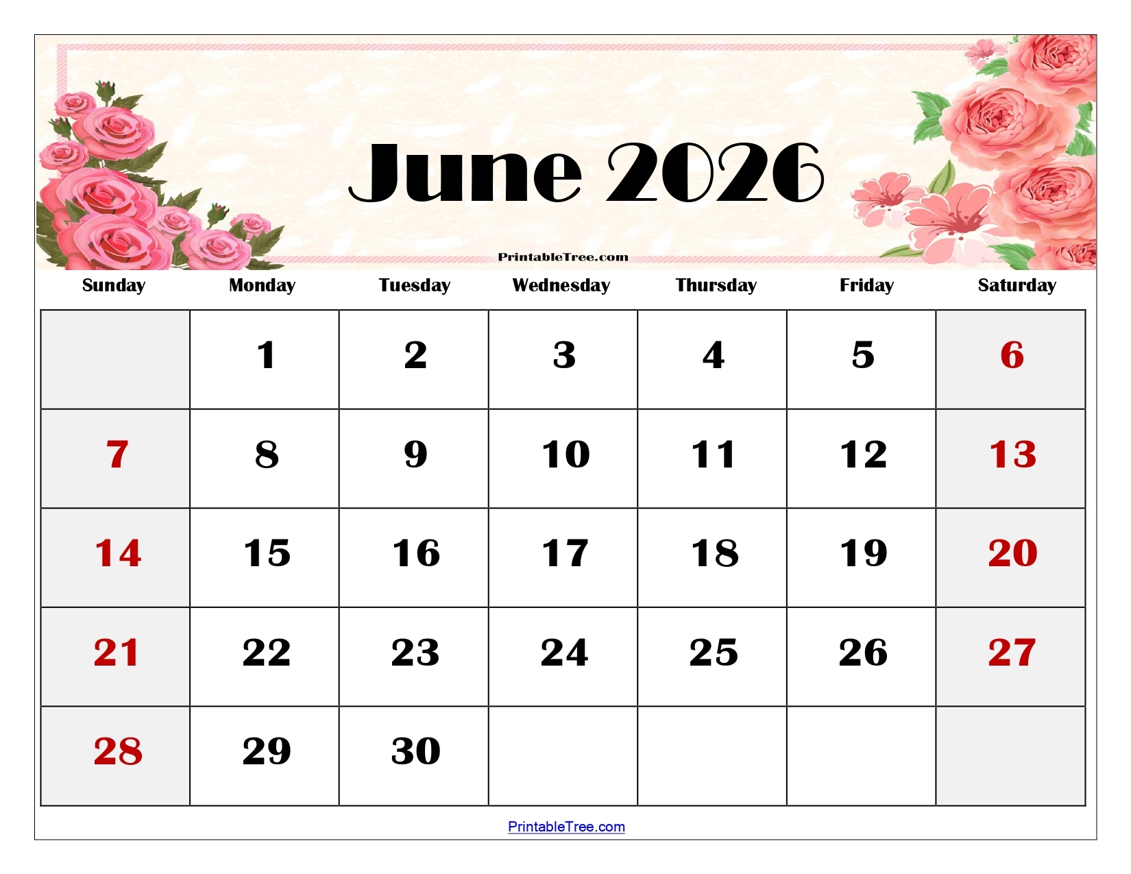 Blank Calendar Template June 2026 Printable