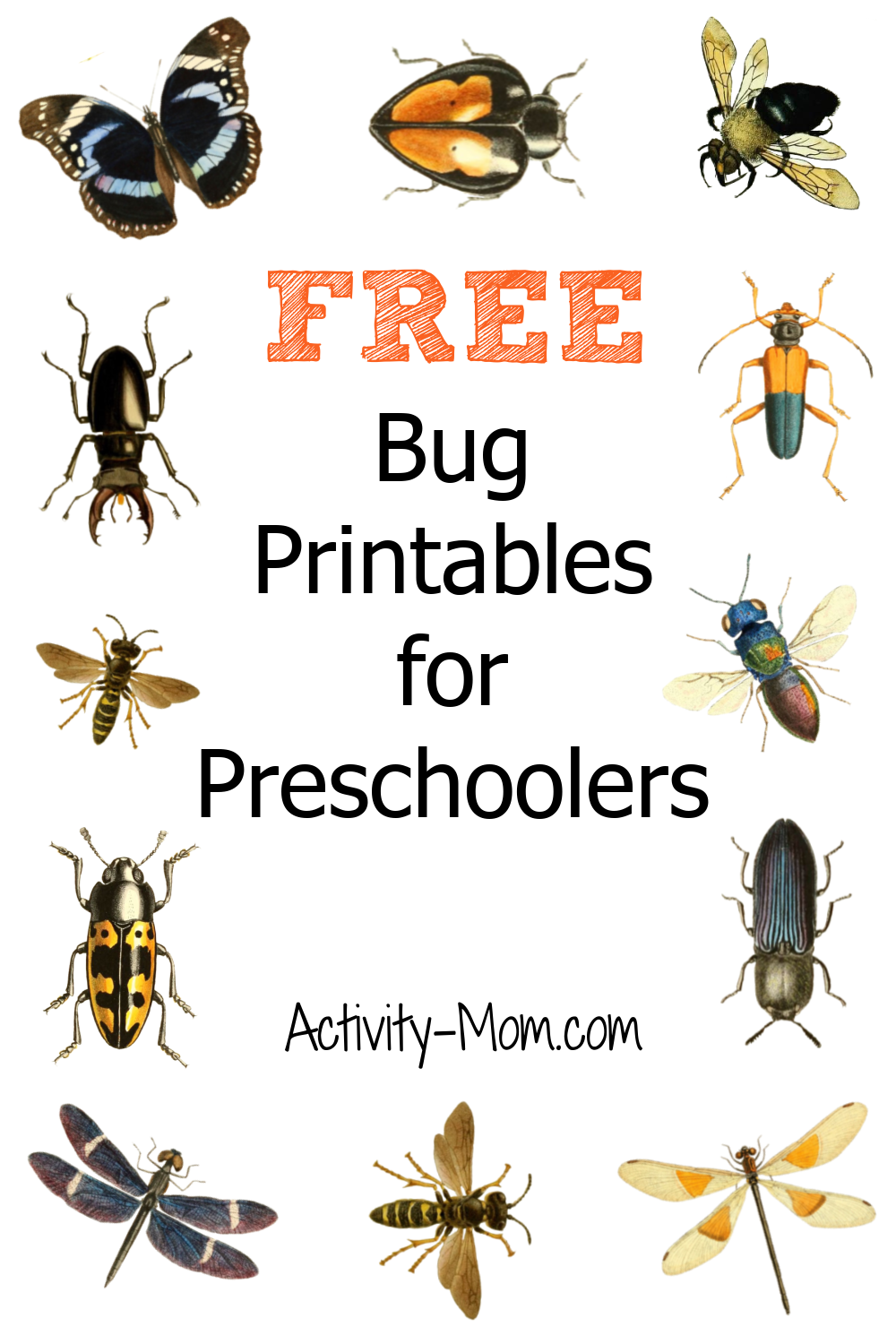 Free Printable Insect Activities