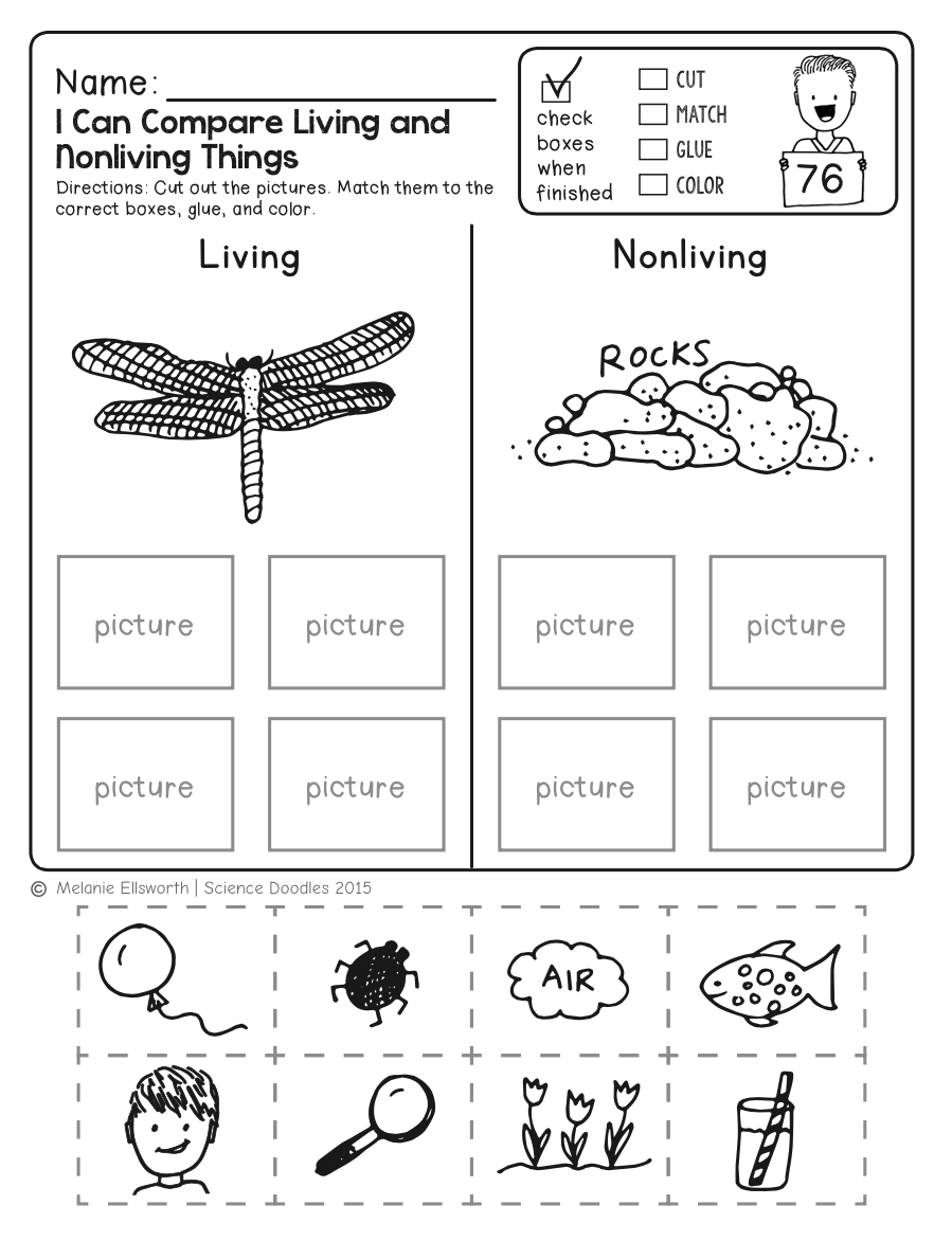 Free Printable Science Worksheets For Engaging Learning 