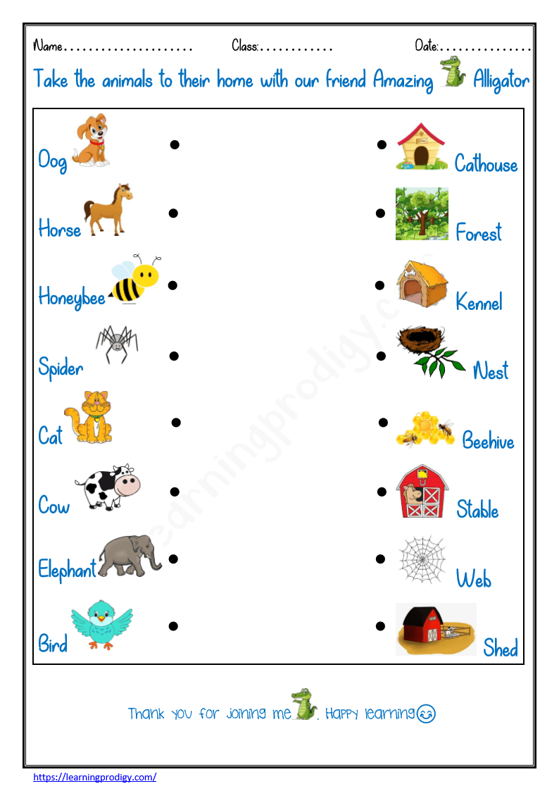 1st Grade Worksheets Free Printable Science