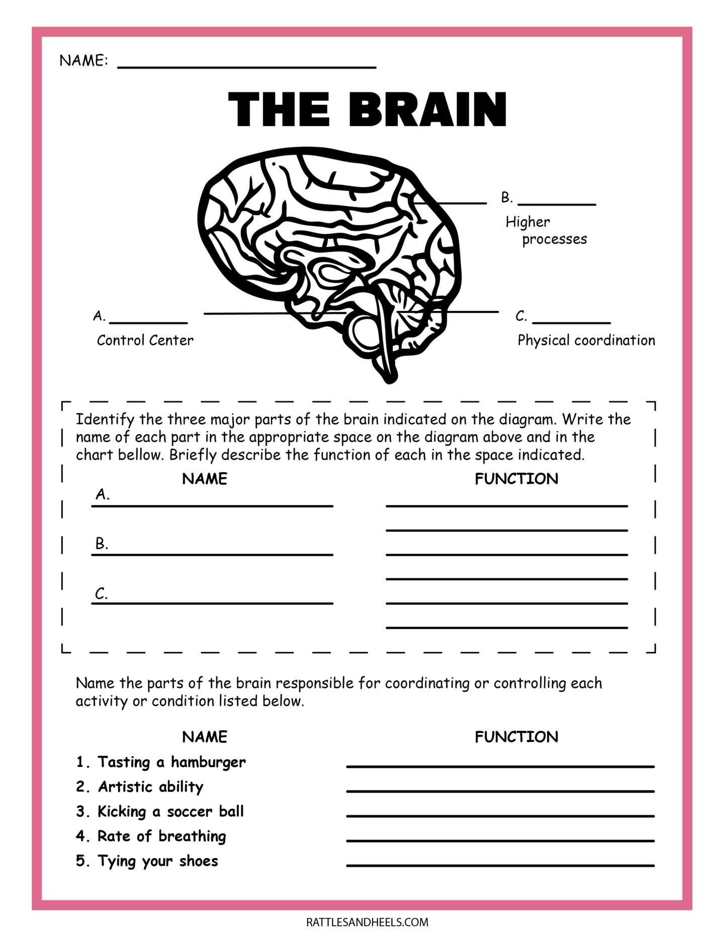 Science Worksheets Printable Grade 3