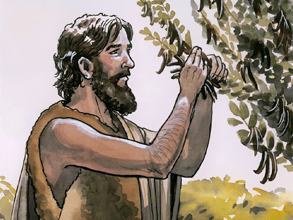 FreeBibleimages John The Baptist s Ministry John The Baptist 