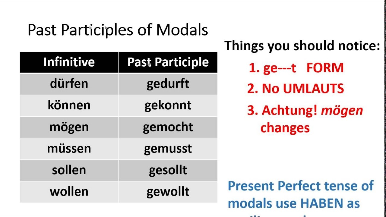 German Grammar German Modals Present Perfect Review