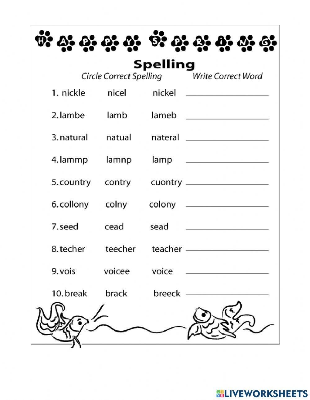 Free Printable 2nd Grade Worksheets Spelling