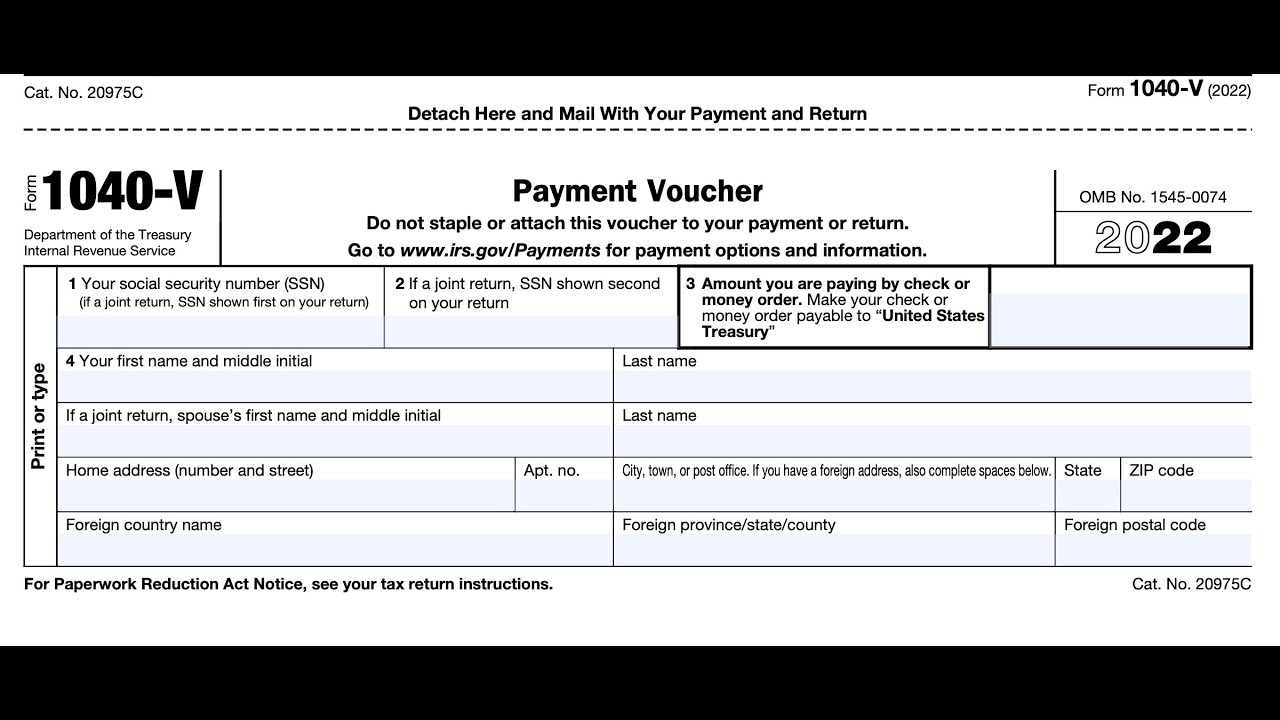 Irs Form 1040 V 2024