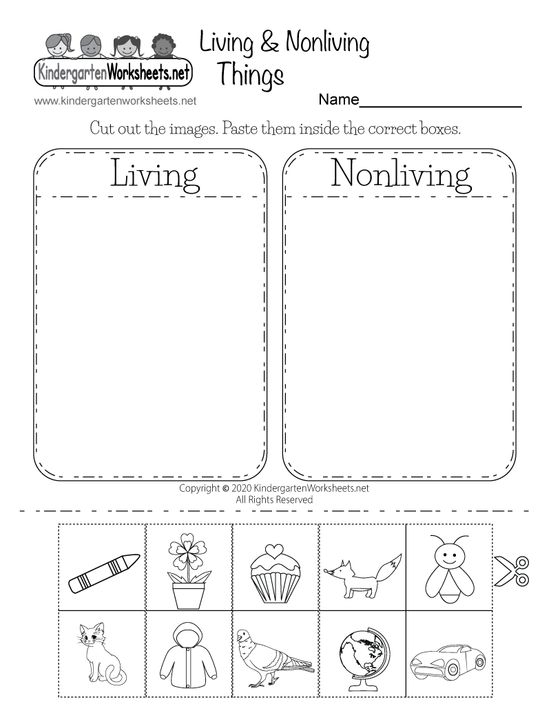 Science Worksheets Printable Kindergarten