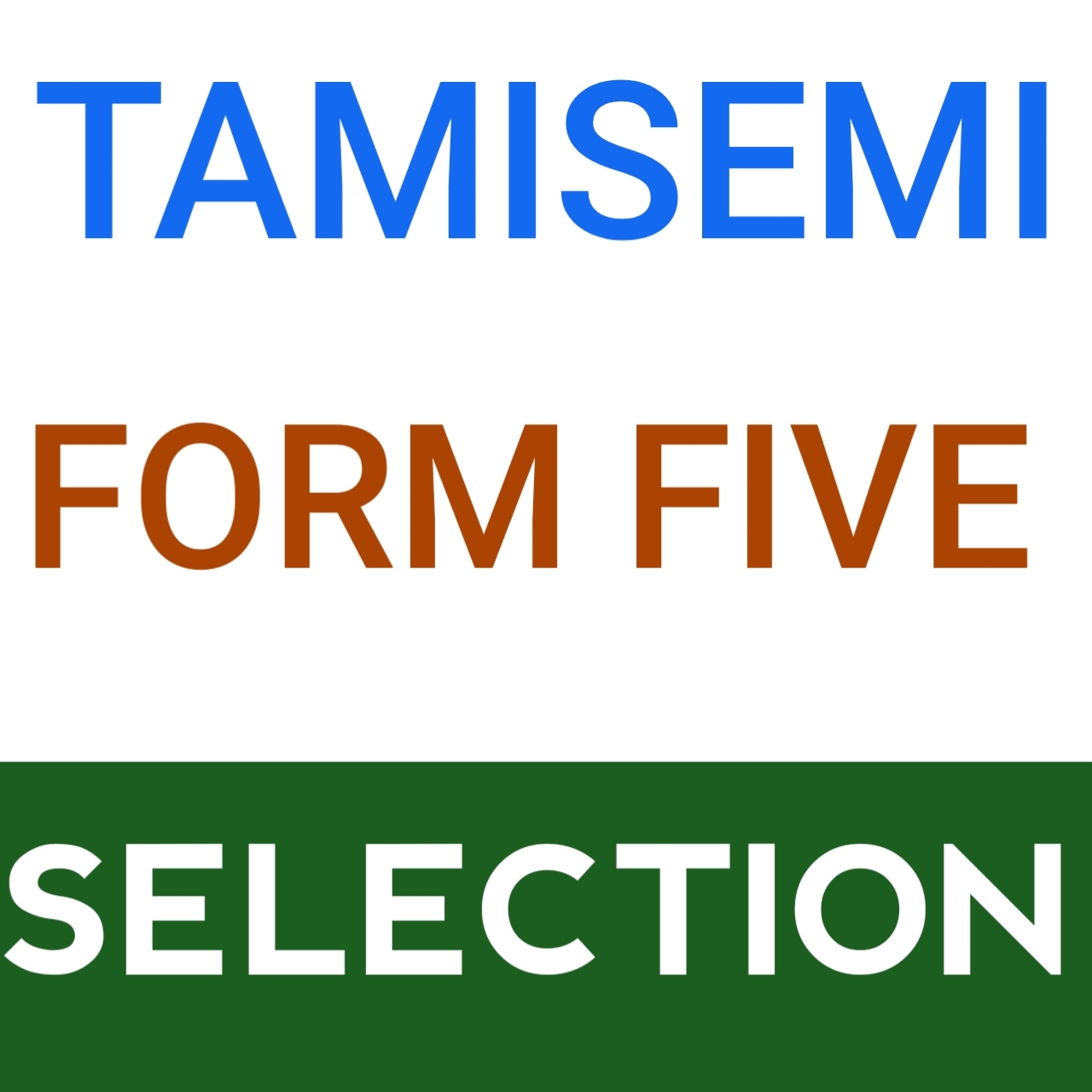 Form 5 Selection 2025