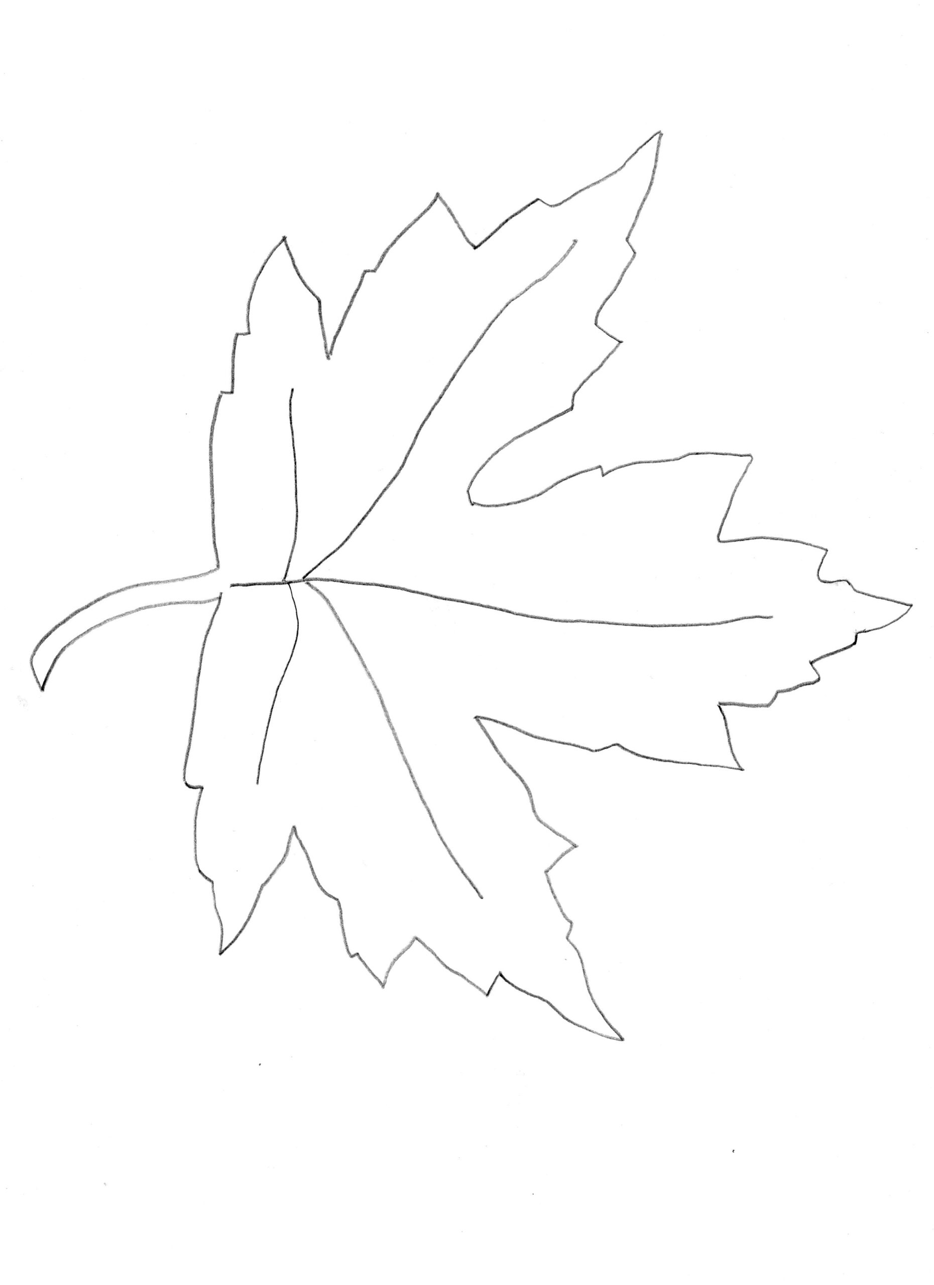 Free Printable Maple Leaf Template