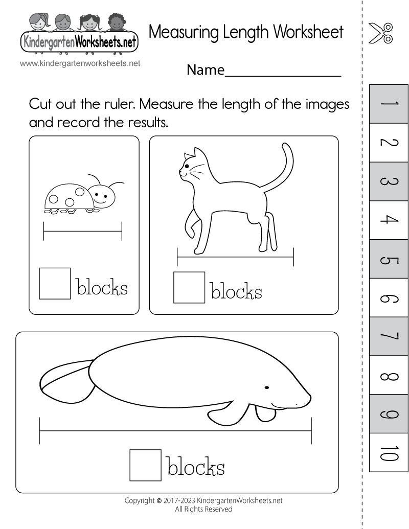 Measuring Length Worksheet Free Printable Digital amp PDF