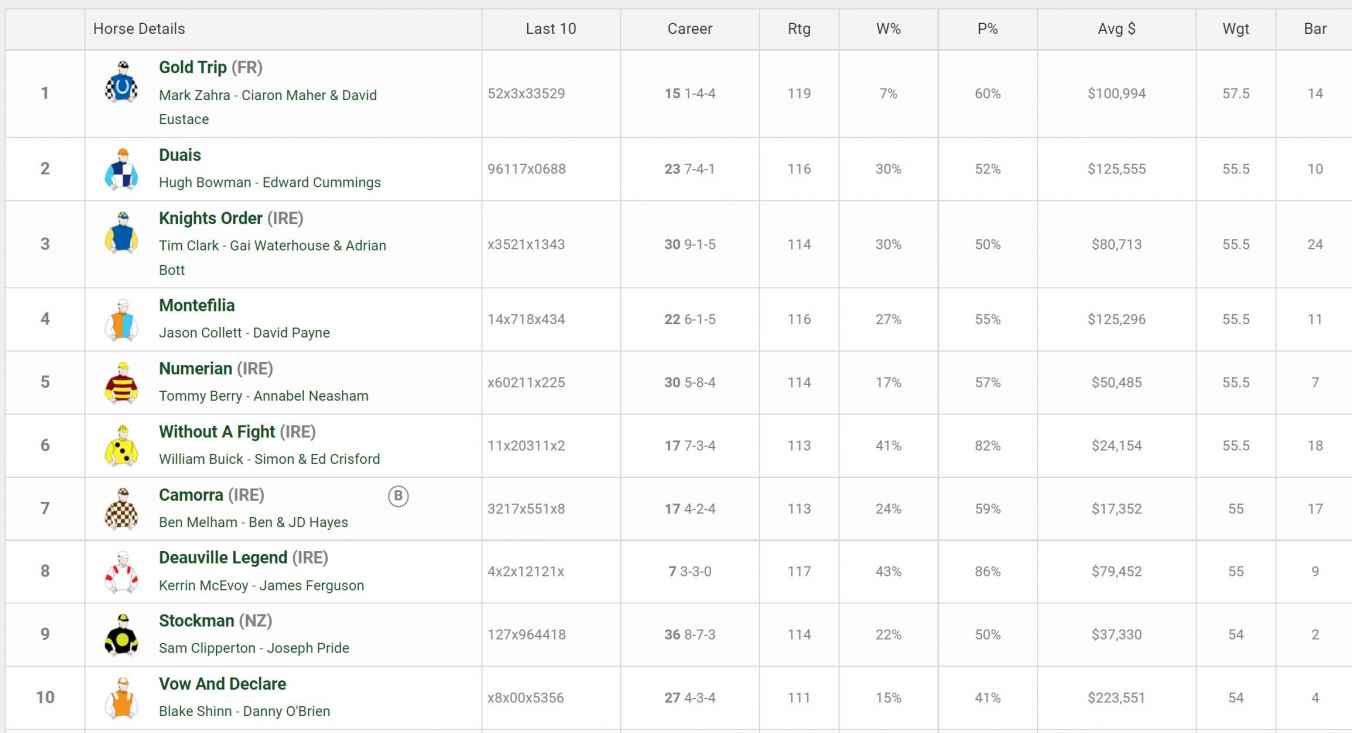 Melbourne Cup 2025 Form Guide Punters