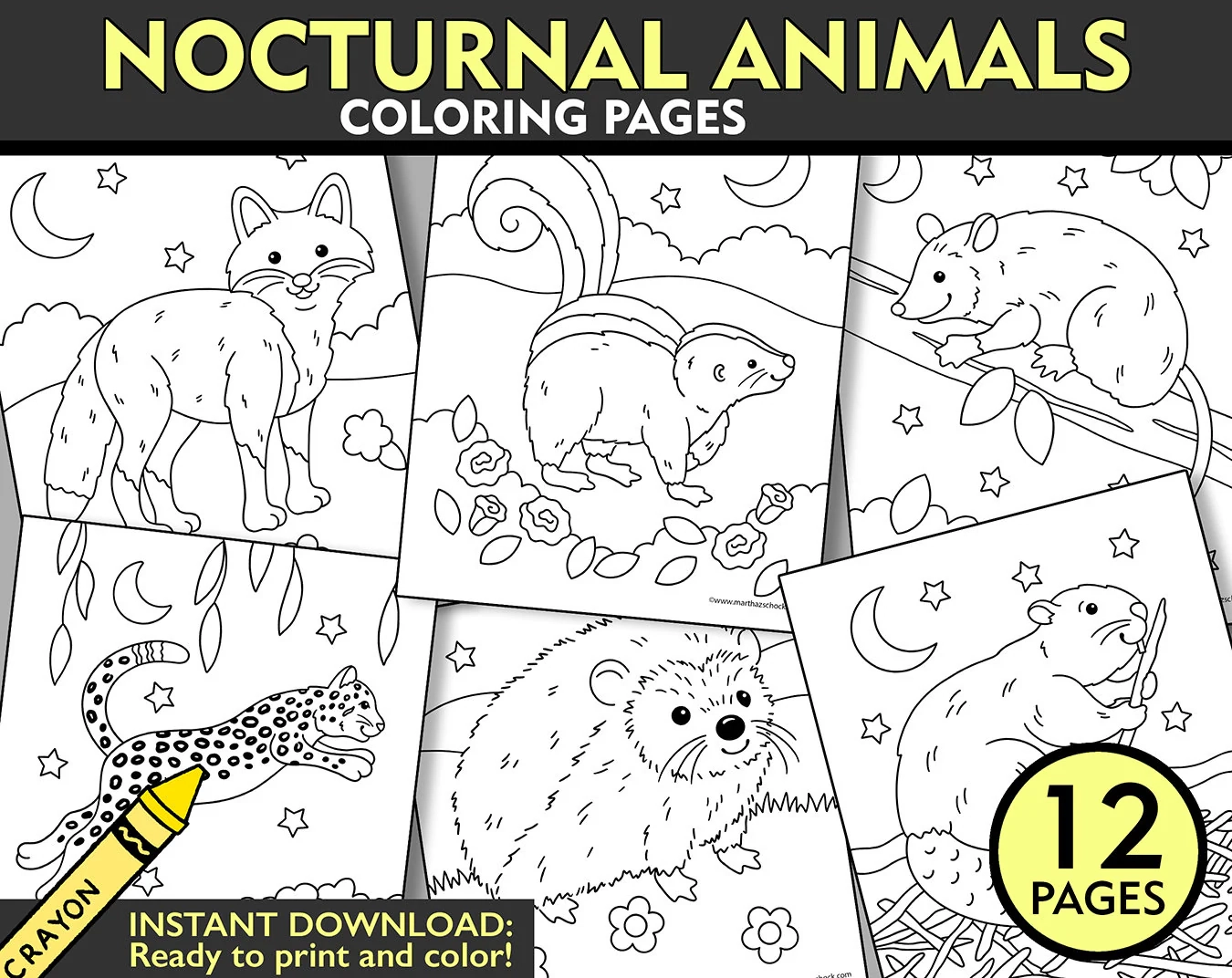 Nocturnal Animals Coloring Pages Printable