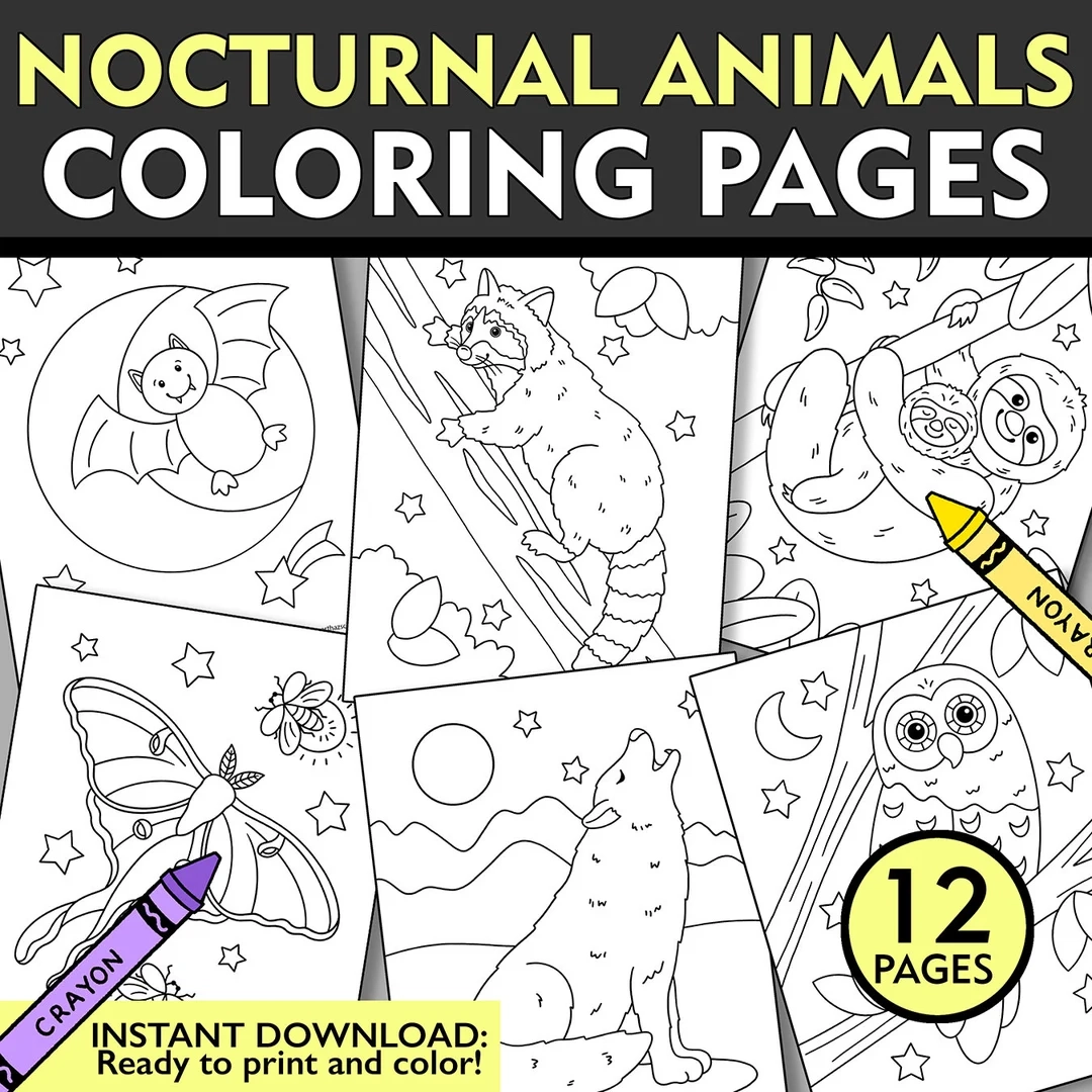 Nocturnal Animals Coloring Pages 12 Printable Sheets digital 