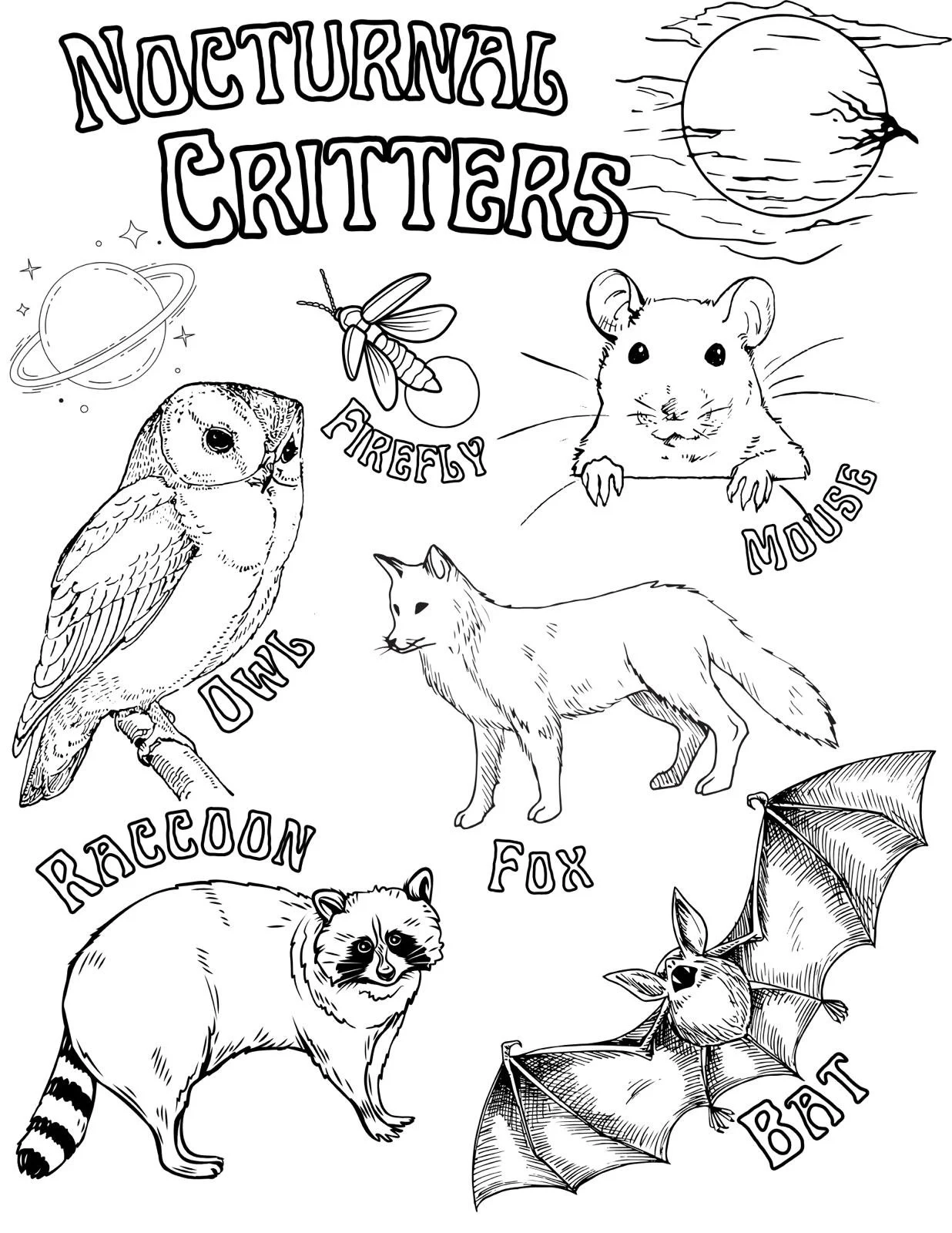 Nocturnal Critters Coloring Page Etsy Israel