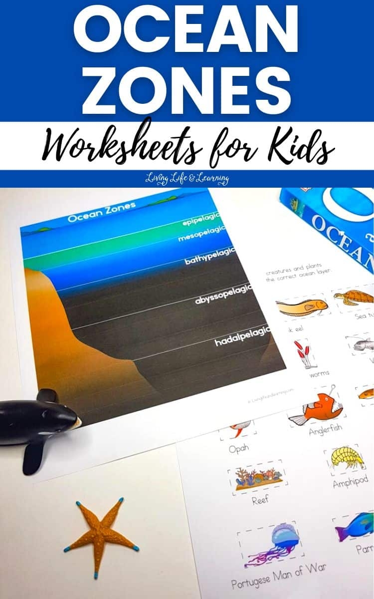 Ocean Zones Worksheets