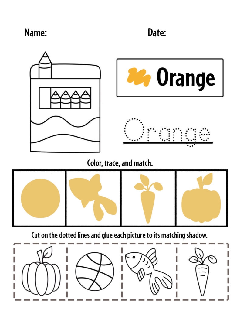 Orange Color Activities And Worksheets For Preschool The 