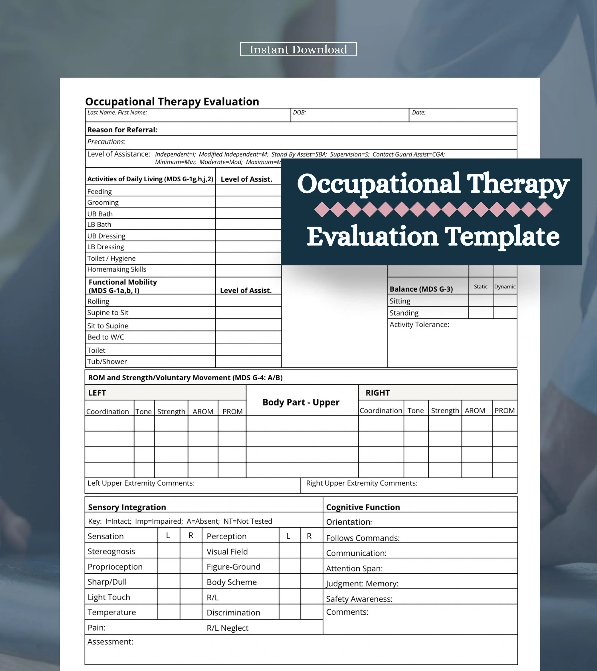 Mds Assessment Form Section C