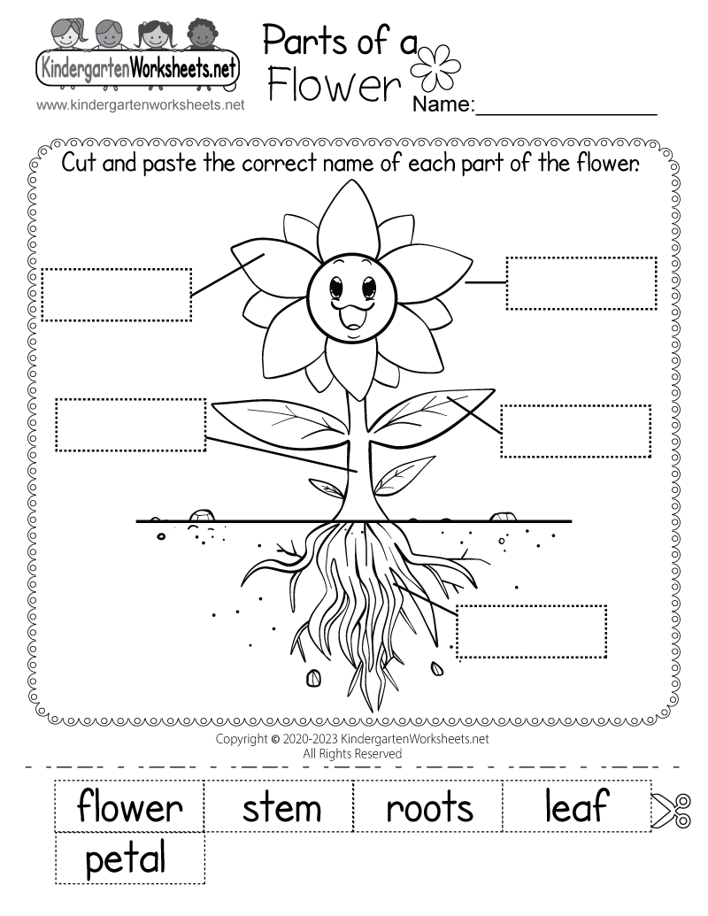 Printable Science Worksheets For Kids